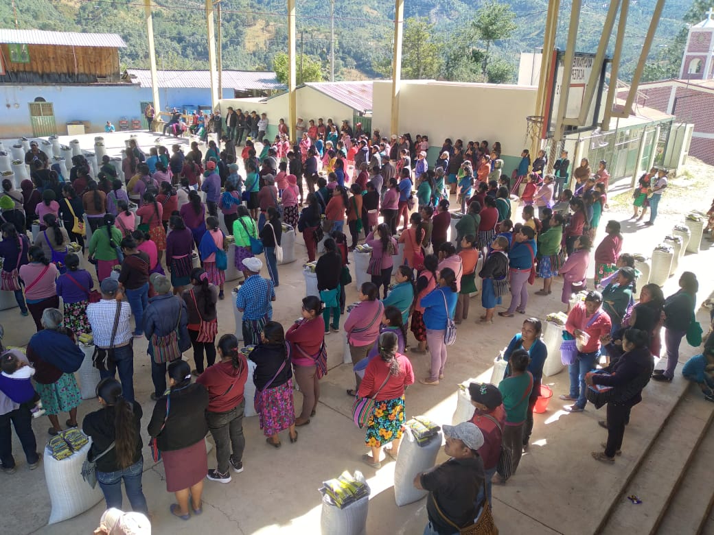 Members of the Zilacayota community received maize and beans as part of the response to Hurricane John. Photo: Colectivo Gusanos de la Memoria via CENACED