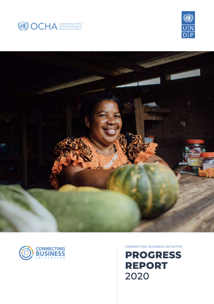CBi Progress Report 2020