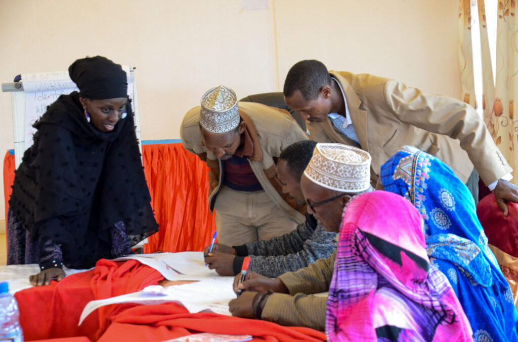 Engaging the private sector in manmade disasters - Example of HPPP Kenya