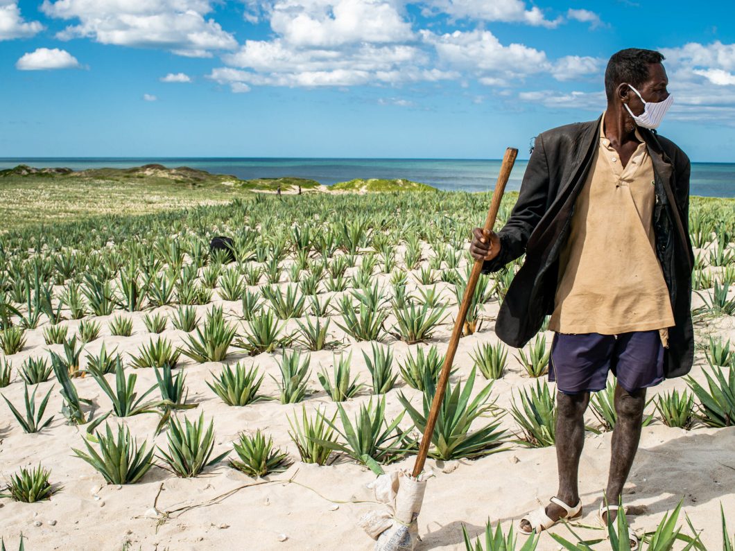 Fighting against desertification in Madgascar Grand Sud region