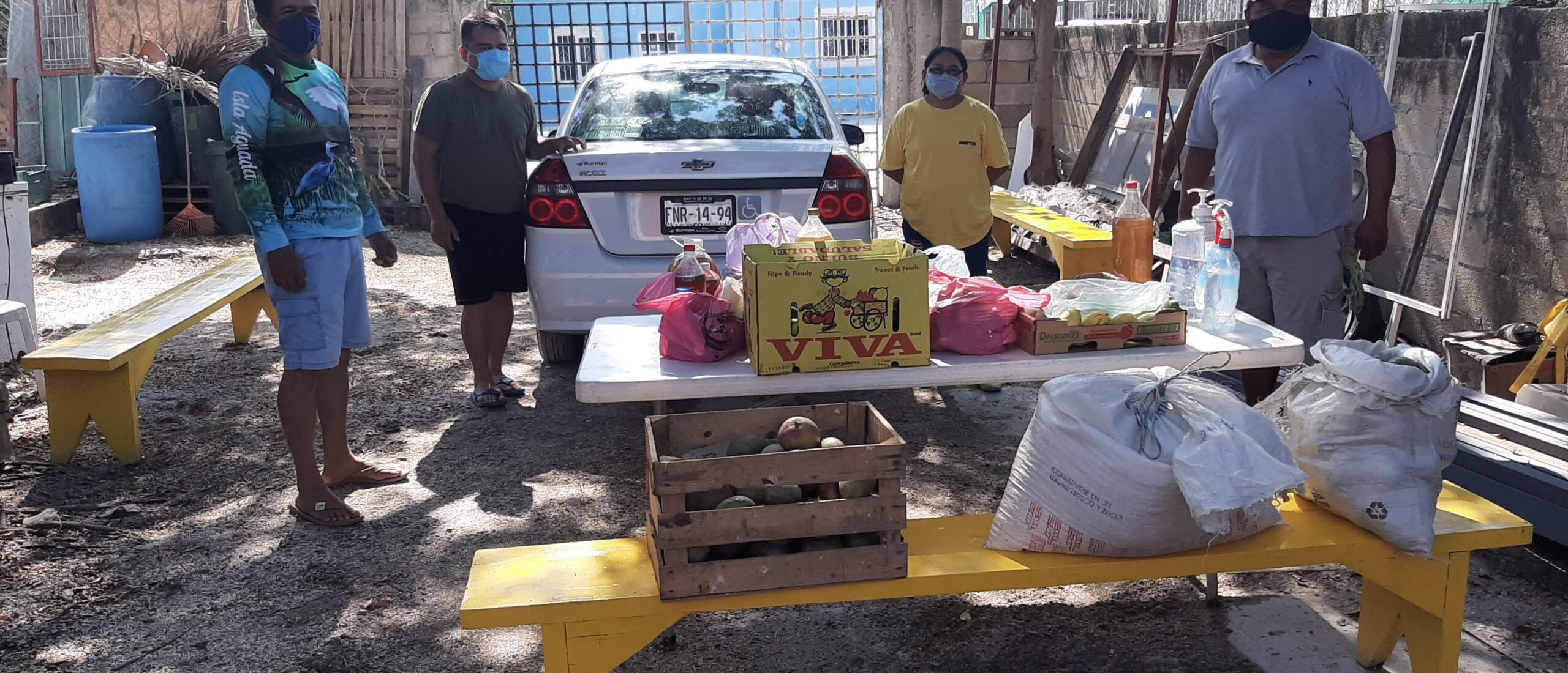 PNUD, OCHA y CENACED unen esfuerzos con sector privado y sociedad para enfrentar la pandemia en México