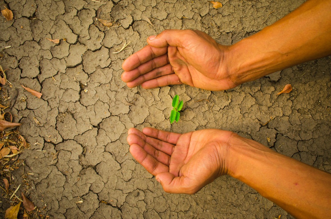 How the Private Sector Can Help Strengthen the Global Humanitarian System