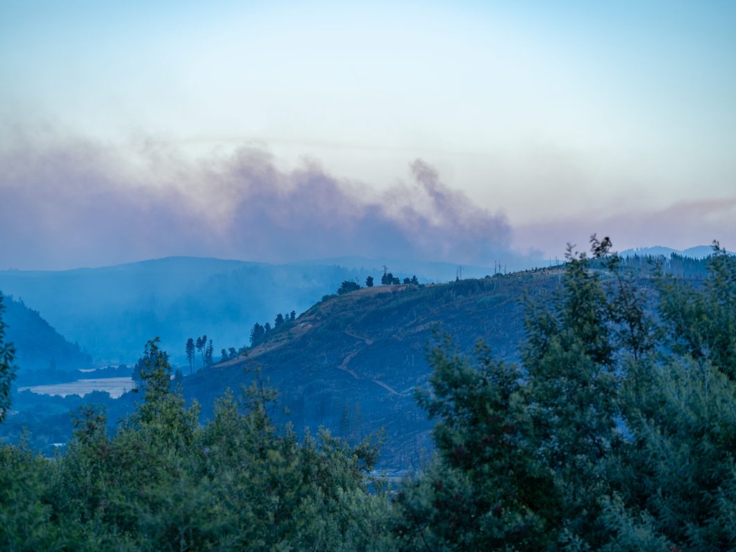 Wildfires impact forests in Chile as of February 5th 2025.