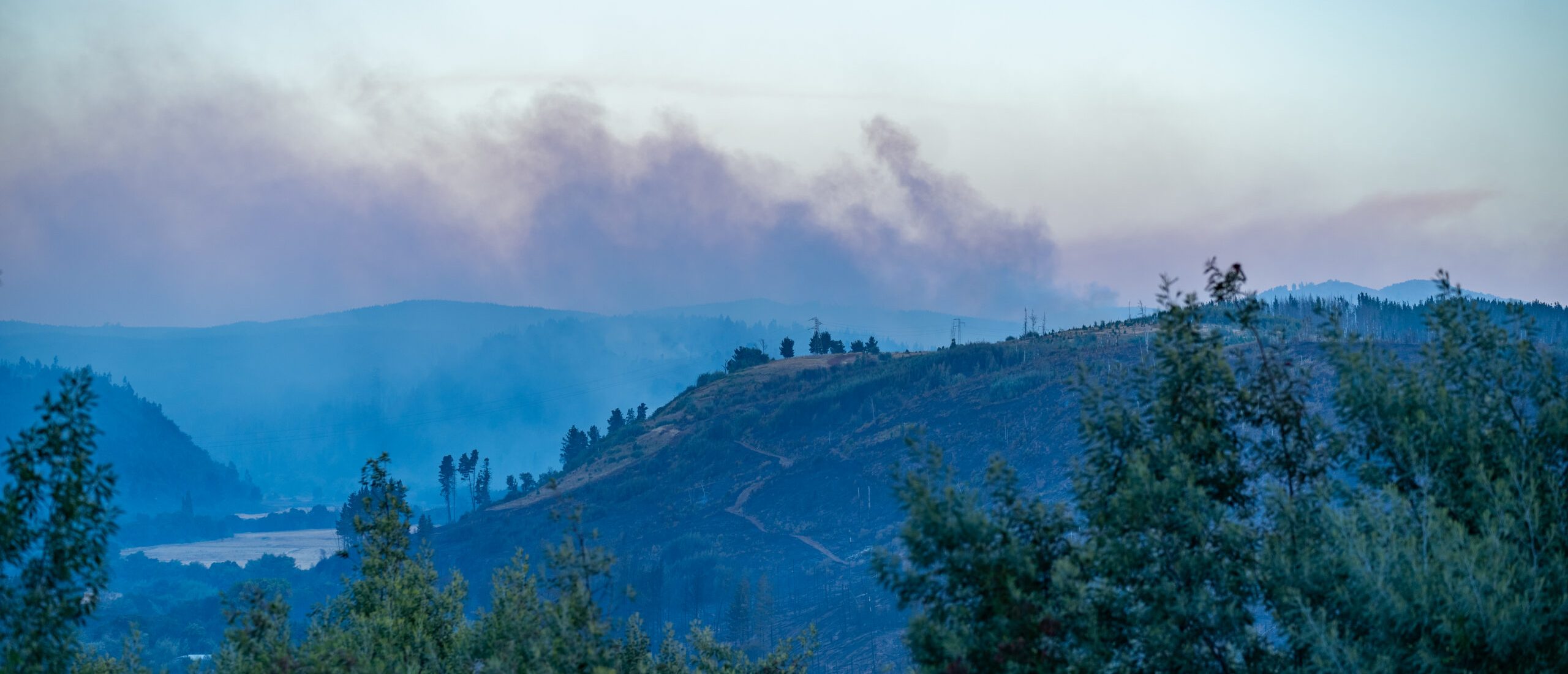 Wildfires impact forests in Chile as of February 5th 2025.