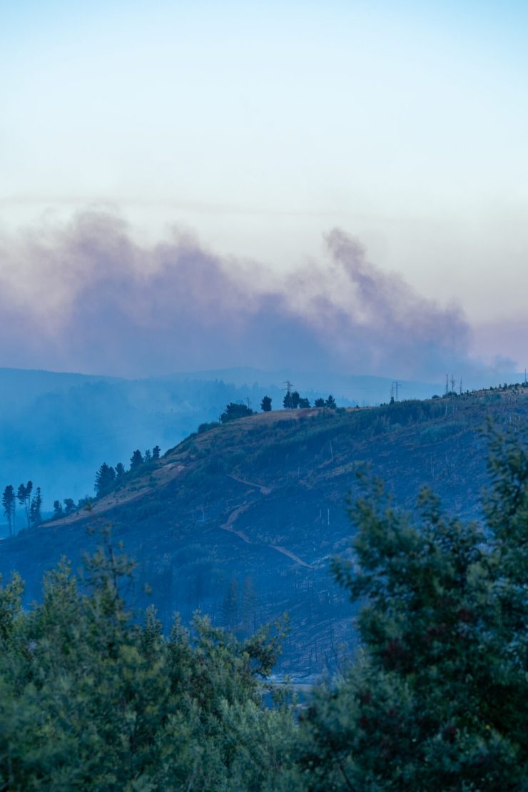 Wildfires impact forests in Chile as of February 5th 2025.