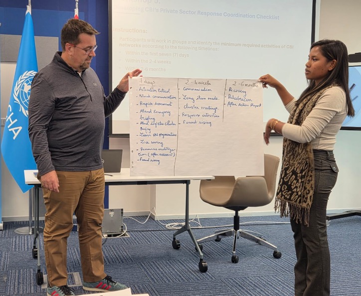 Unlocking Private Sector Potential: Crafting New Standards for Emergency Response